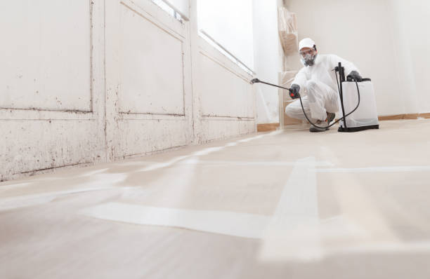 24/7 Emergency Mold Remediation experts in Meyersdale, PA